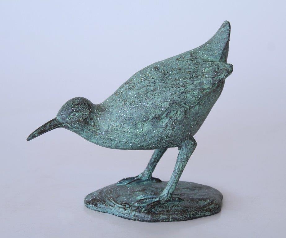 Green Sandpiper Bird